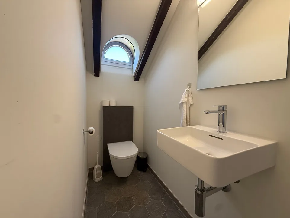 Einzigartige 14-Zimmer-Villa zur möblierten Miete in Metzerlen-Mariastein – Foto 21 von 30