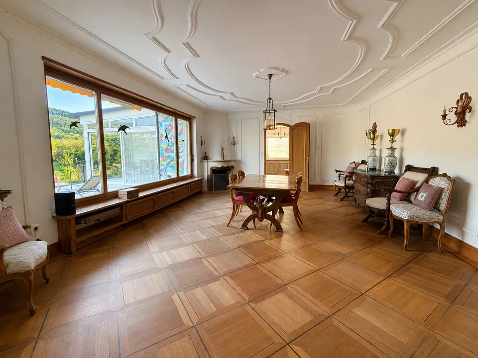 Einzigartige 14-Zimmer-Villa zur möblierten Miete in Metzerlen-Mariastein – Foto 7 von 30
