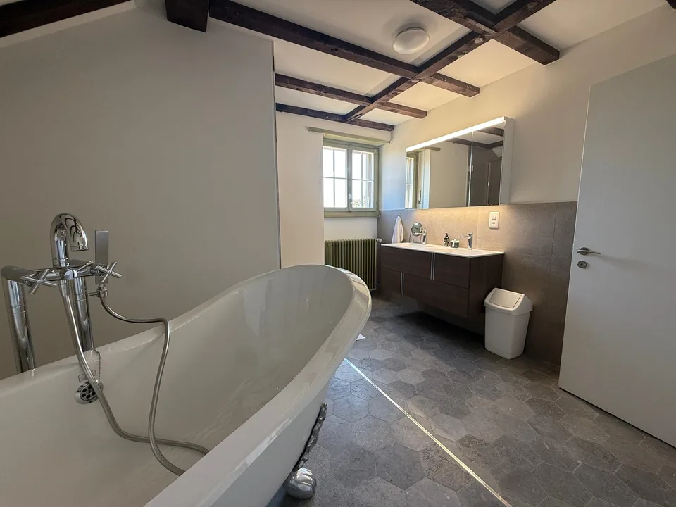 Einzigartige 14-Zimmer-Villa zur möblierten Miete in Metzerlen-Mariastein – Foto 24 von 30