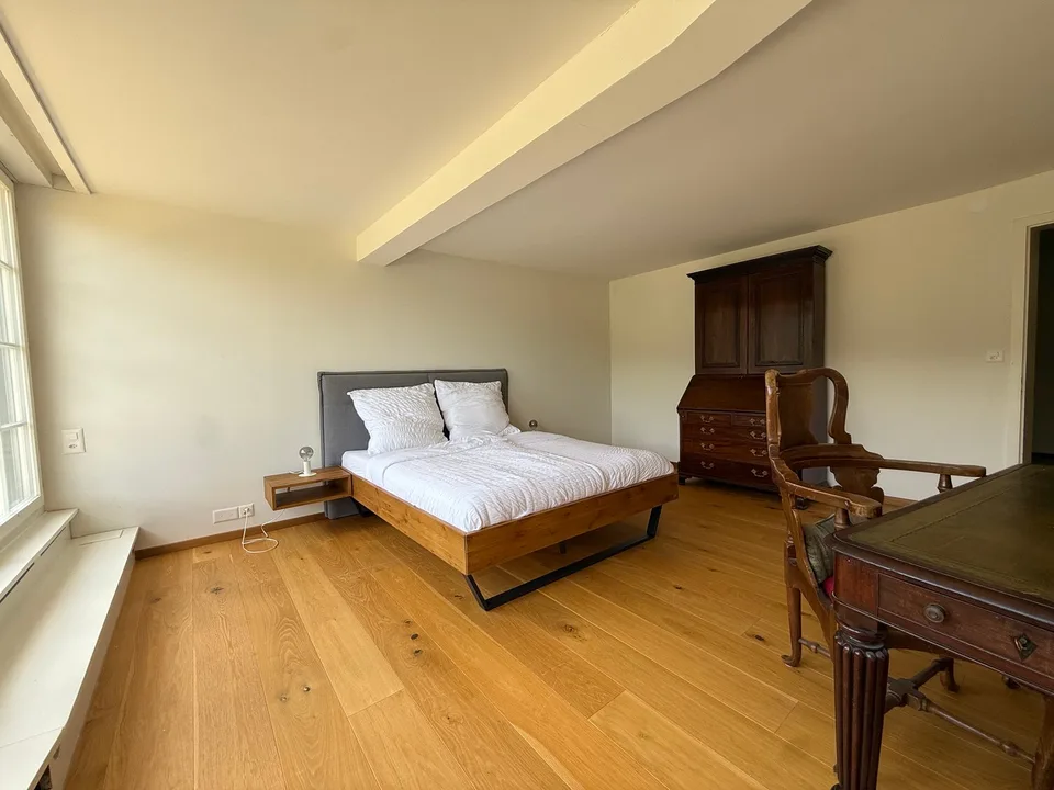 Einzigartige 14-Zimmer-Villa zur möblierten Miete in Metzerlen-Mariastein – Foto 16 von 30