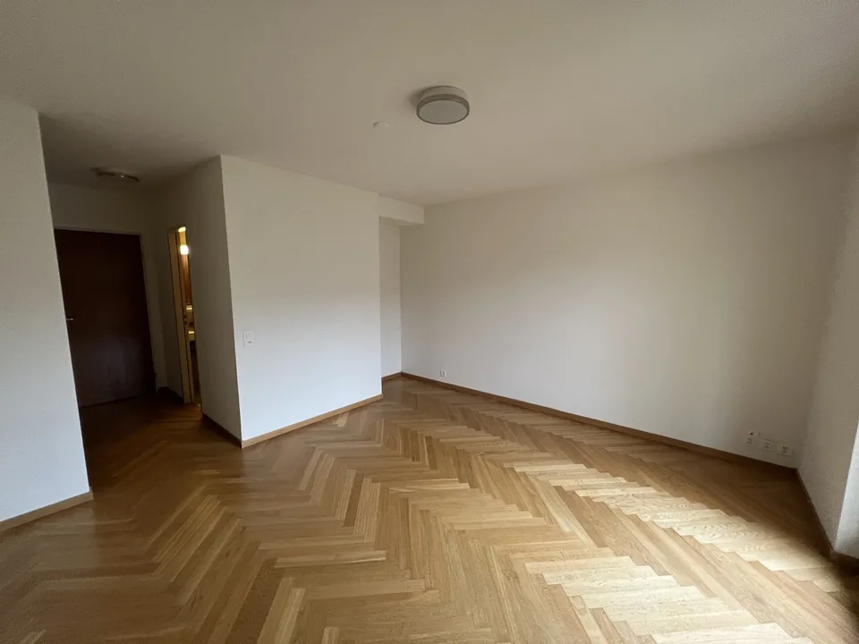 1 Zimmer Wohnung in Mariastein – Foto 7 von 7