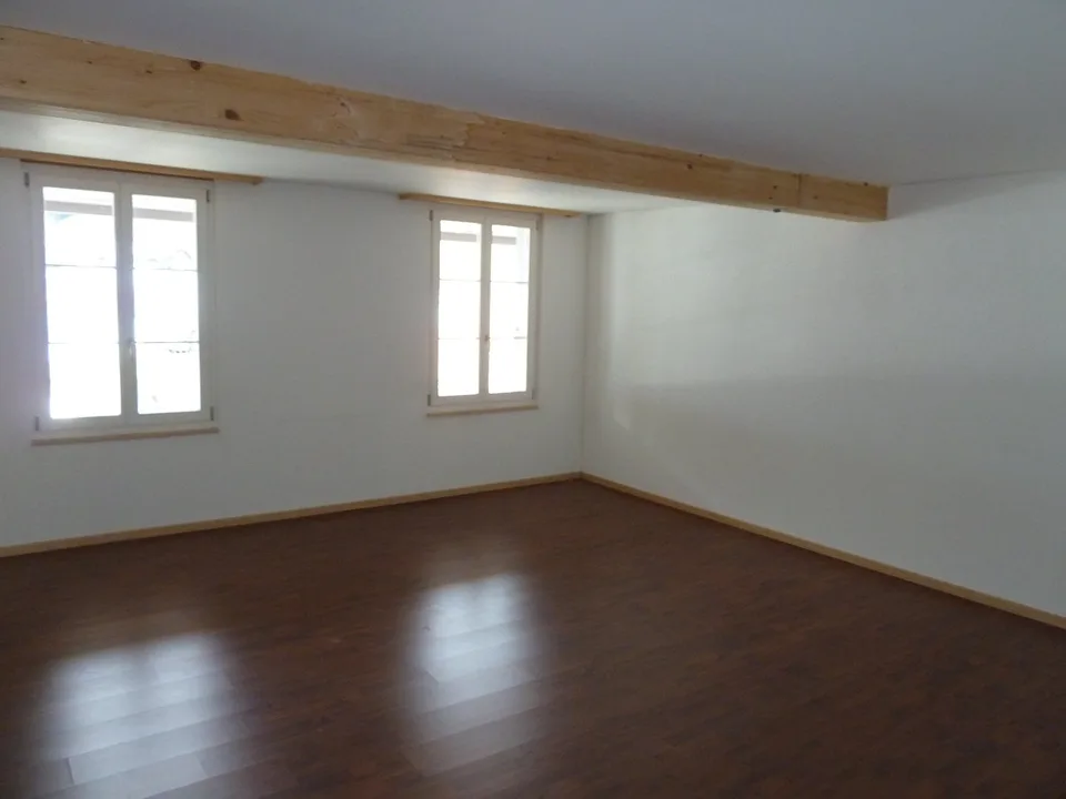 Rural 5.5 room apartment – photo 11 of 12