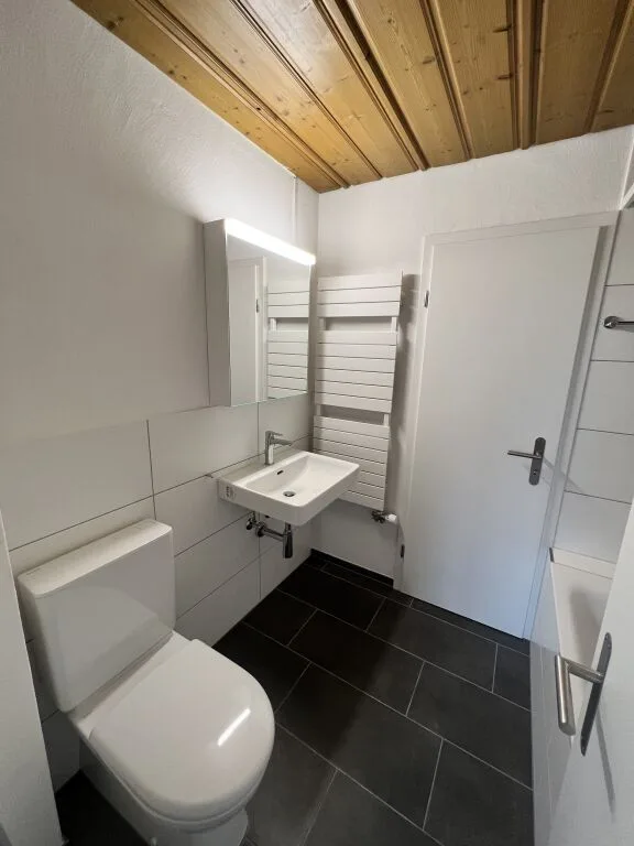 Erster Mietzins geschenkt: Neu sanierte 2.5-Zimmerwohnung zu vermieten – Foto 8 von 11