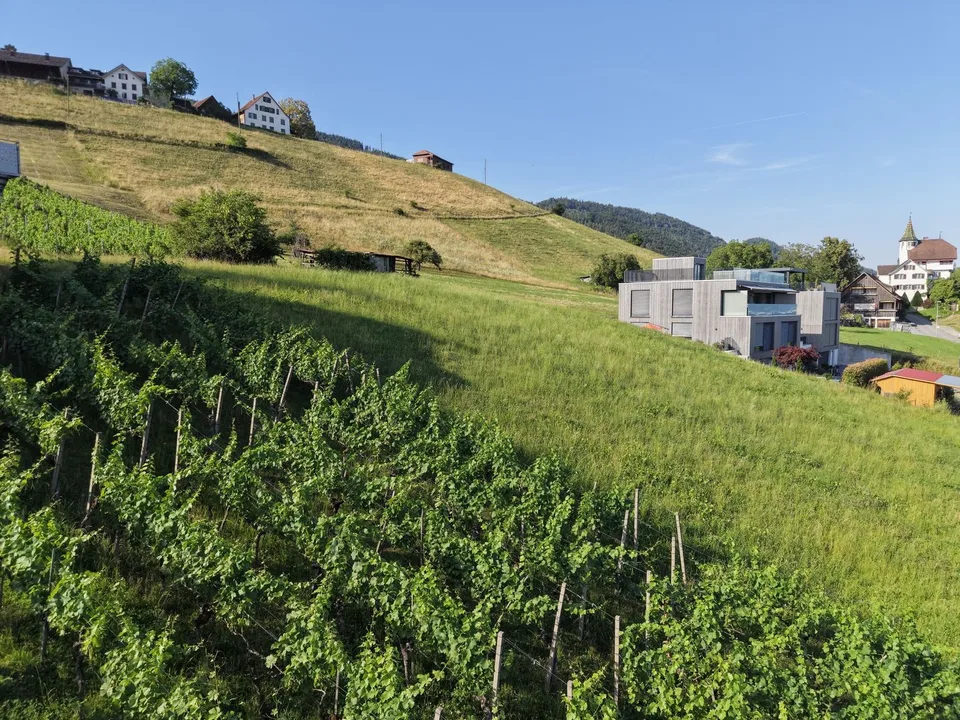 Terreno edificabile sulla pendice sud con vista panoramica sulla valle del Reno – foto 4 di 10