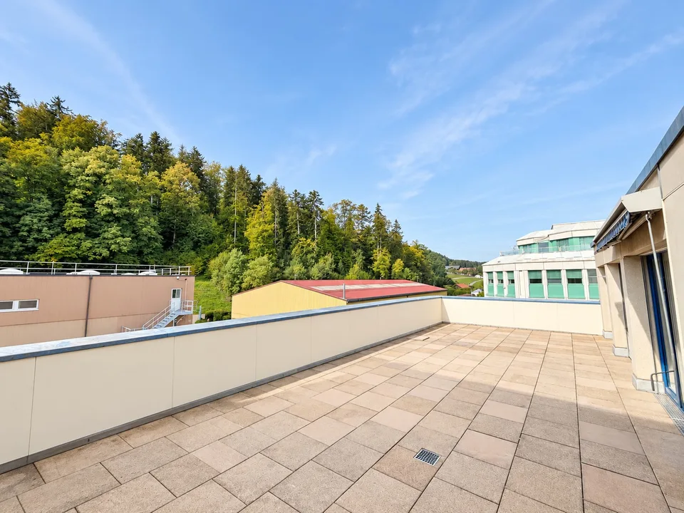 Grosszügige 3½-Zimmer-Wohnung mit 71 m² Terrasse ins Grüne – Foto 11 von 12