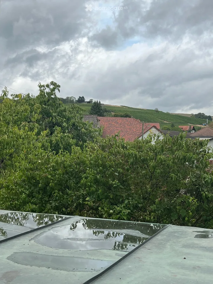 Trasadingen: EFH mit Charme und Panoramablick – Foto 8 von 30