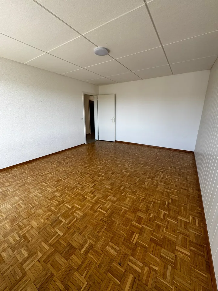 Appartement lumineux 4.5 pièces avec balcon et vue sur les montagnes à Bellach – photo 3 sur 13