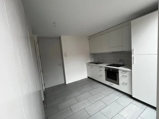Schönes Apartment-Loft mitten im Herzen von Flon mit Dachterrasse – Foto 4 von 7