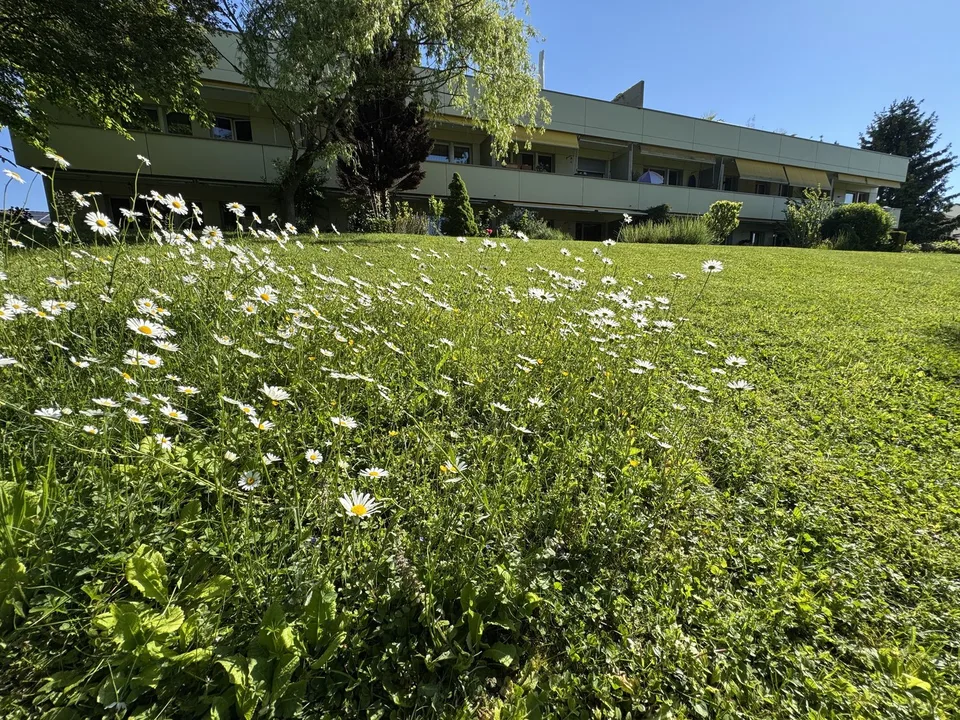 Appartamento accogliente di 3,5 locali a Wallisellen – foto 11 di 12
