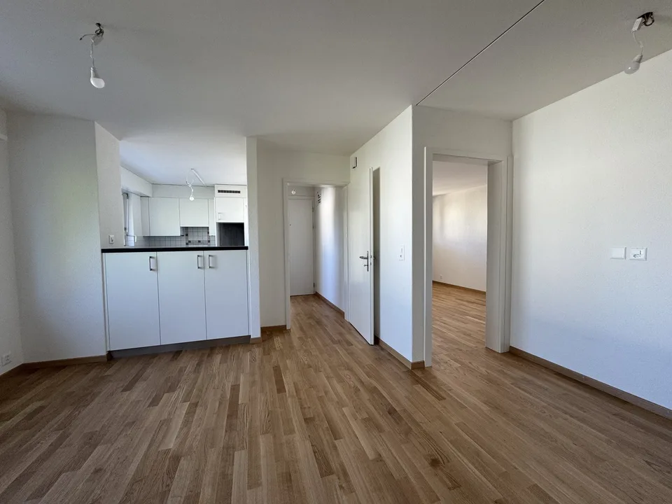 Appartamento accogliente di 3,5 locali a Wallisellen – foto 4 di 12