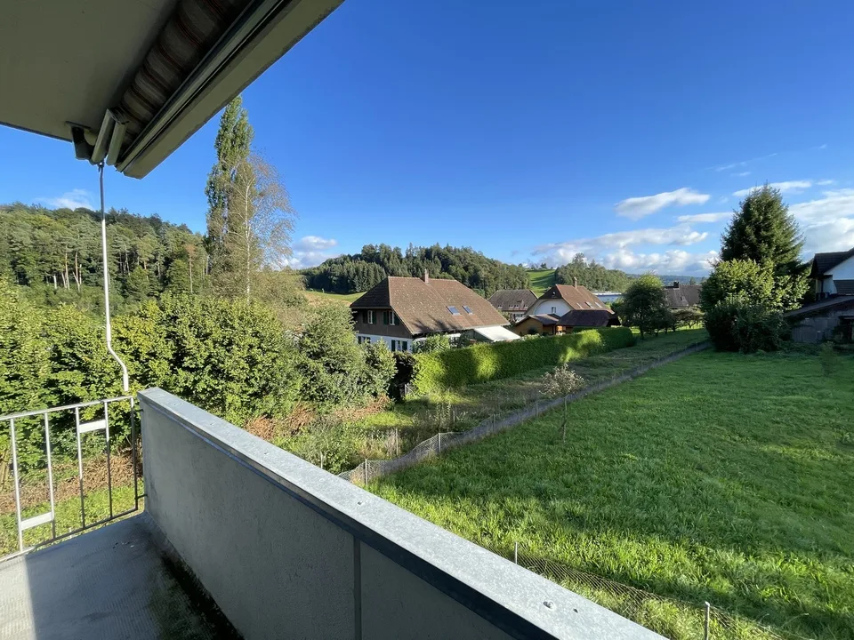 Vivre dans le beau Melchnau - appartement 3.0 pièces avec vue – photo 12 sur 12