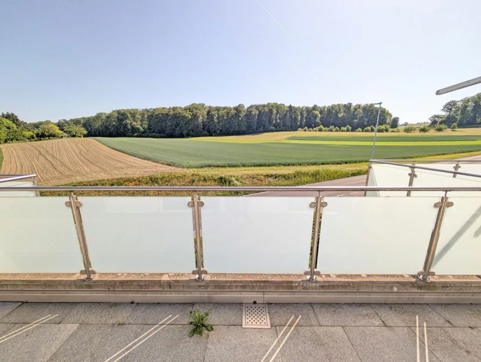 Einzigartige Attikawohnung mit herrlicher Terrasse und Blick in Grüne – Foto 4 von 21