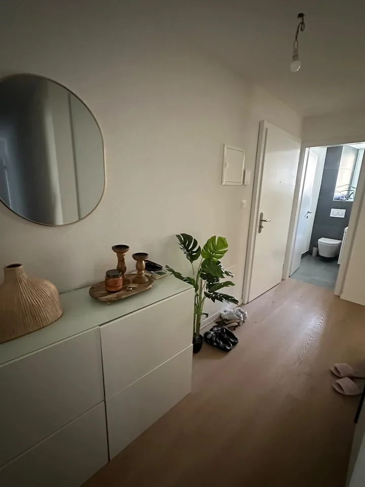 Meraviglioso appartamento di 4.5 locali con piccolo balcone e terrazza comune – foto 6 di 9
