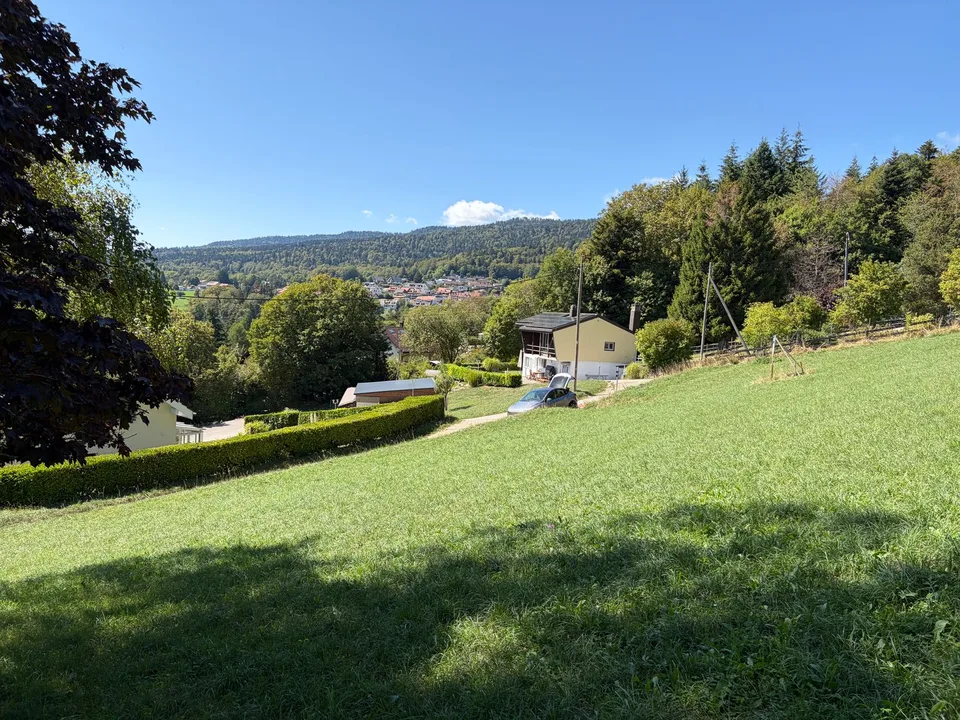 2 Grundstücke à 1100 m² - 30 Minuten von Genf – Foto 3 von 9