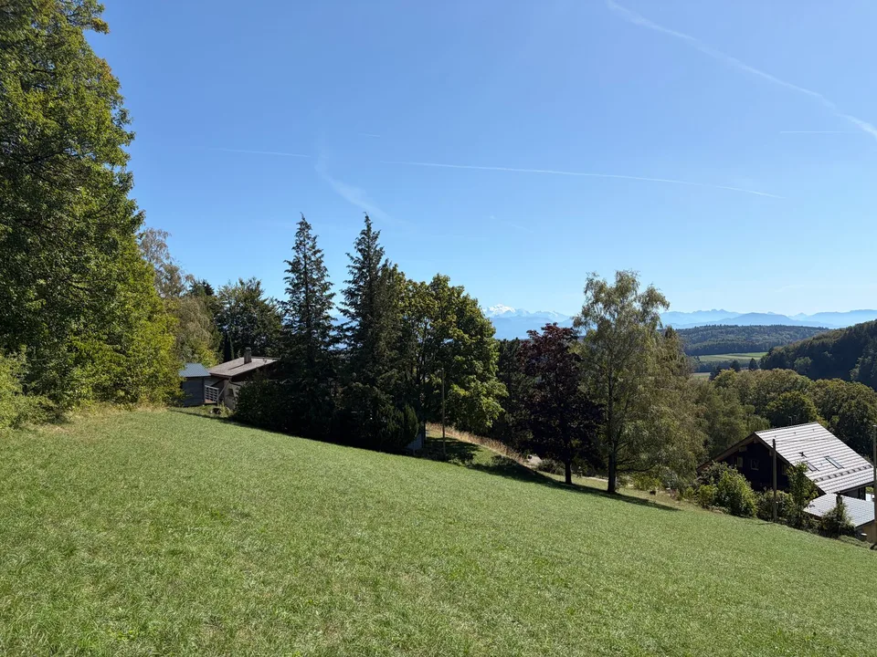 2 Grundstücke à 1100 m² - 30 Minuten von Genf – Foto 2 von 9