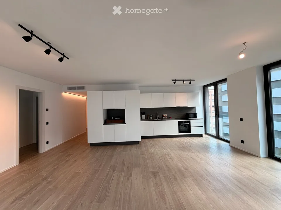 NEW 3.5 Room Apartment in Paradiso – photo 4 of 16