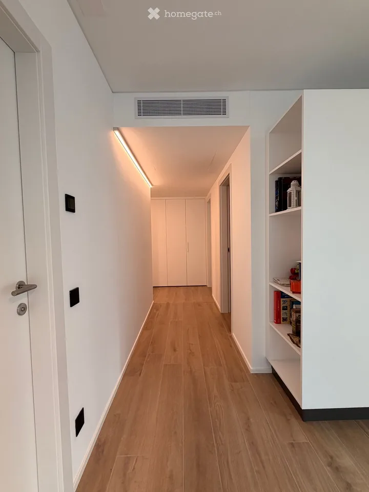 NEW 3.5 Room Apartment in Paradiso – photo 3 of 16