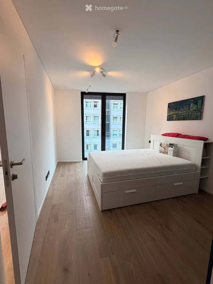 NEW 3.5 Room Apartment in Paradiso – photo 8 of 16