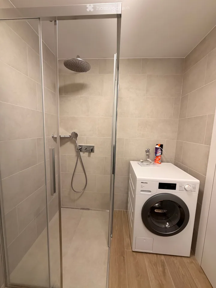 NEW 3.5 Room Apartment in Paradiso – photo 13 of 16