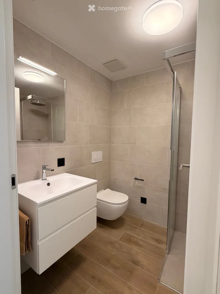 NEW 3.5 Room Apartment in Paradiso – photo 12 of 16