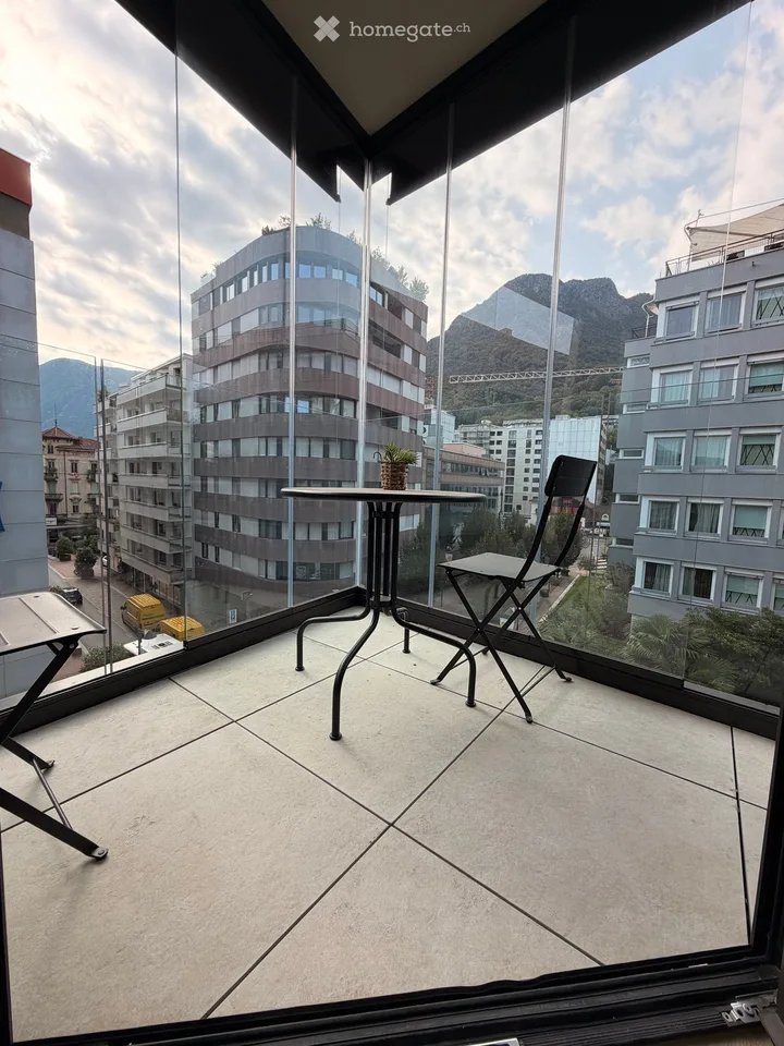 NEW 3.5 Room Apartment in Paradiso – photo 7 of 16