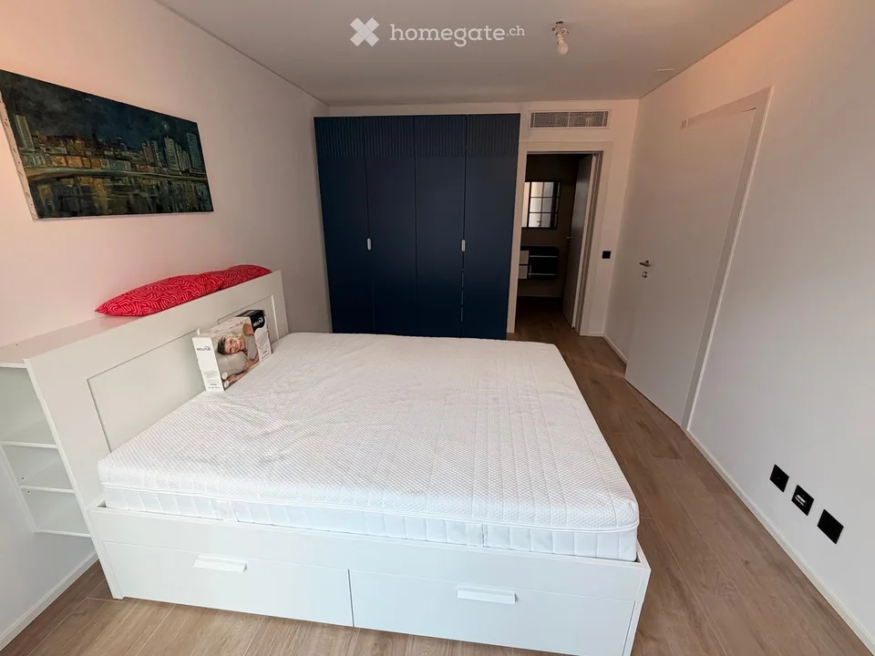 NEW 3.5 Room Apartment in Paradiso – photo 9 of 16