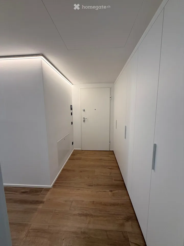 NEW 3.5 Room Apartment in Paradiso – photo 2 of 16