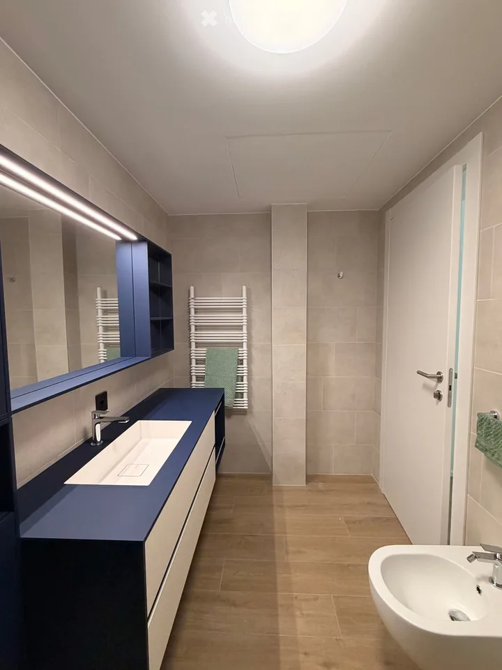 NEW 3.5 Room Apartment in Paradiso – photo 11 of 16