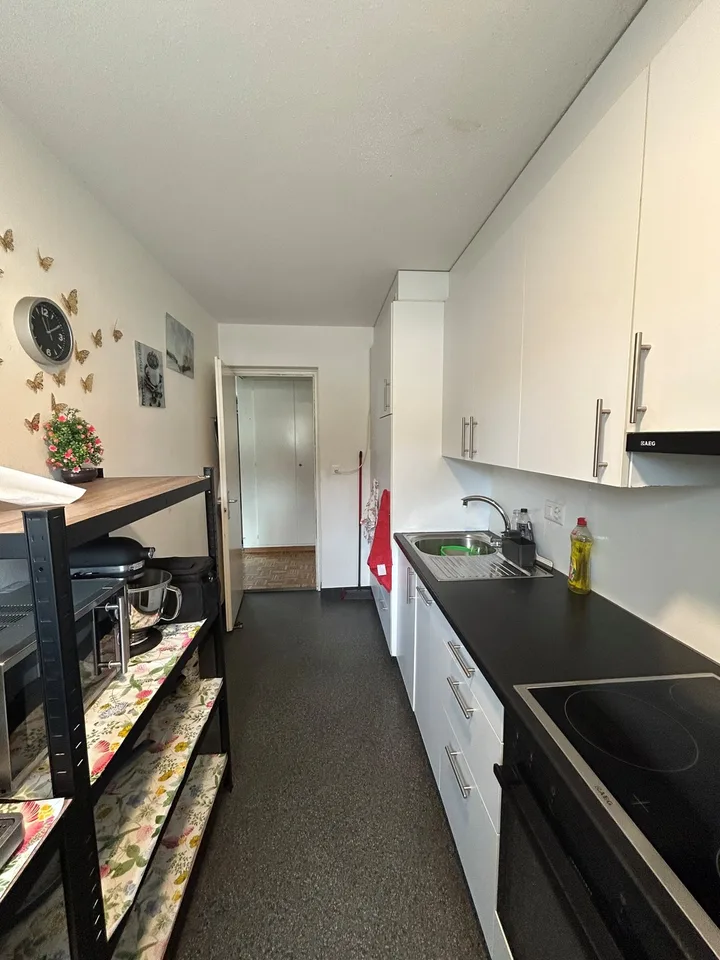 Bello appartamento di 3.5 locali – foto 9 di 11