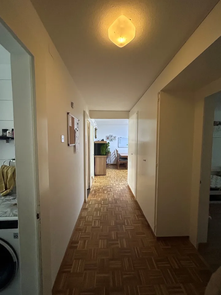 Bello appartamento di 3.5 locali – foto 2 di 11