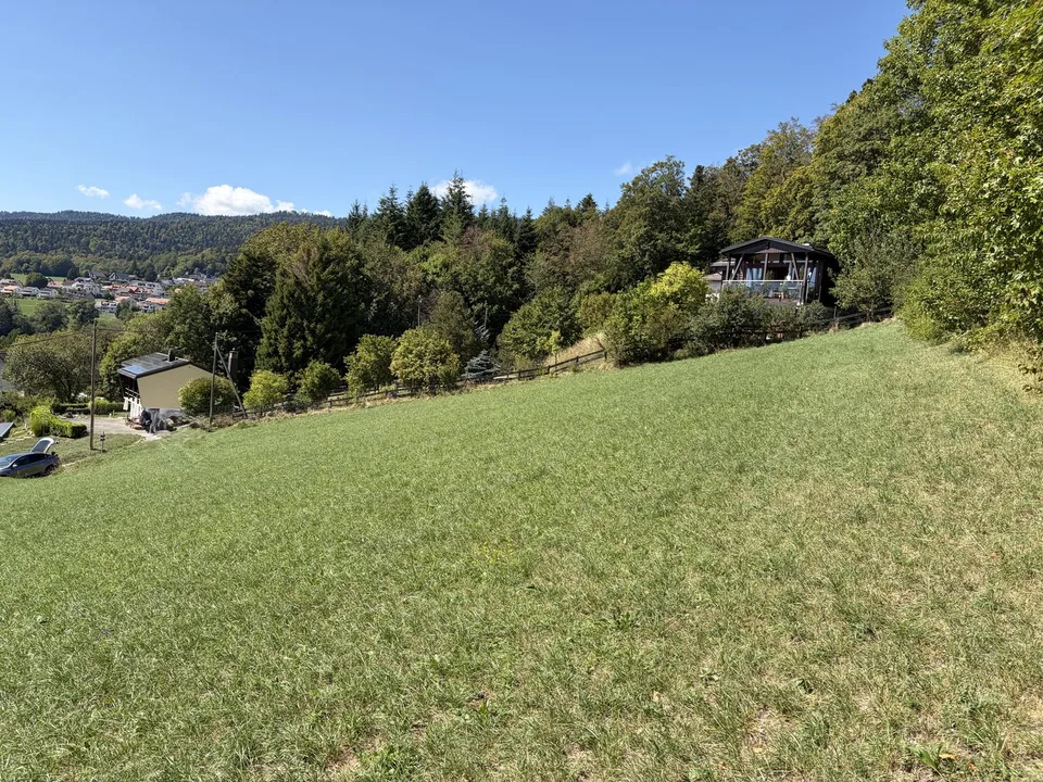 1 Grundstück von 2200 m² - 30 Minuten von Genf – Foto 7 von 9