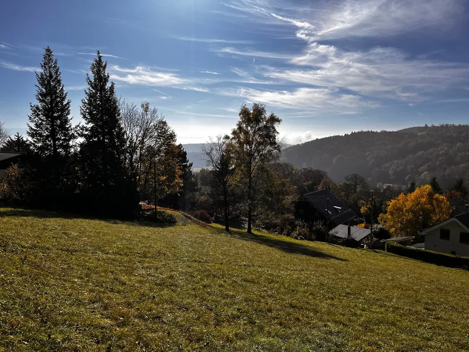 1 Grundstück von 2200 m² - 30 Minuten von Genf – Foto 6 von 9