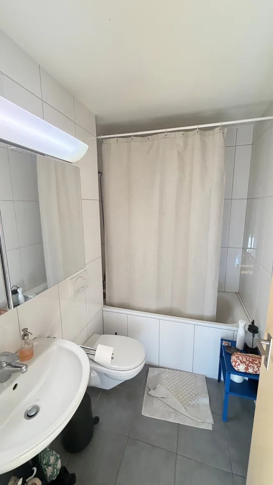 Incantevole appartamento di 3,5 locali in Neunbrunnenstrasse 213 a Zurigo – foto 6 di 7