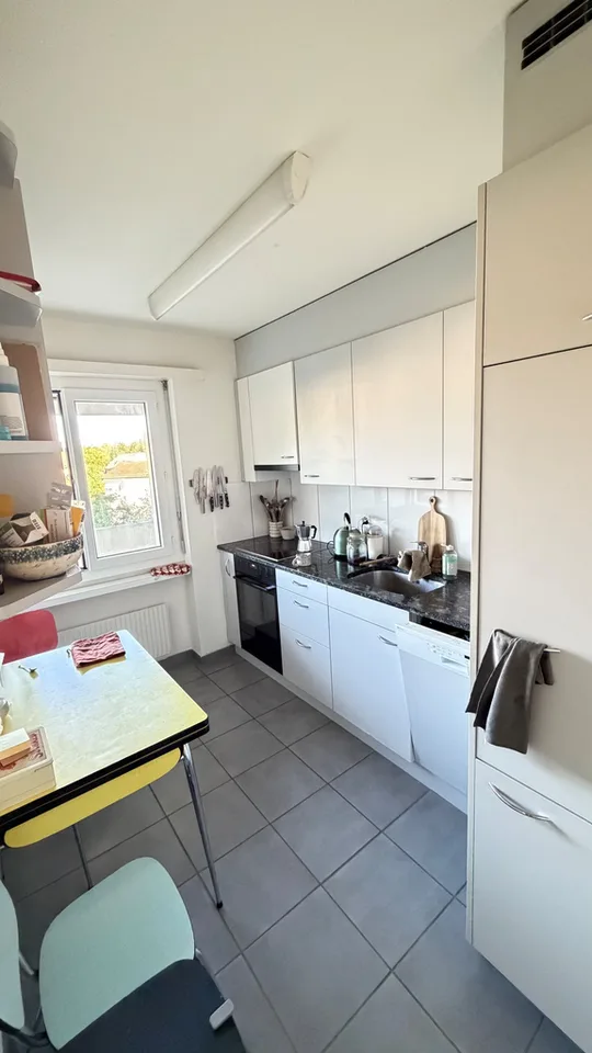 Incantevole appartamento di 3,5 locali in Neunbrunnenstrasse 213 a Zurigo – foto 7 di 7