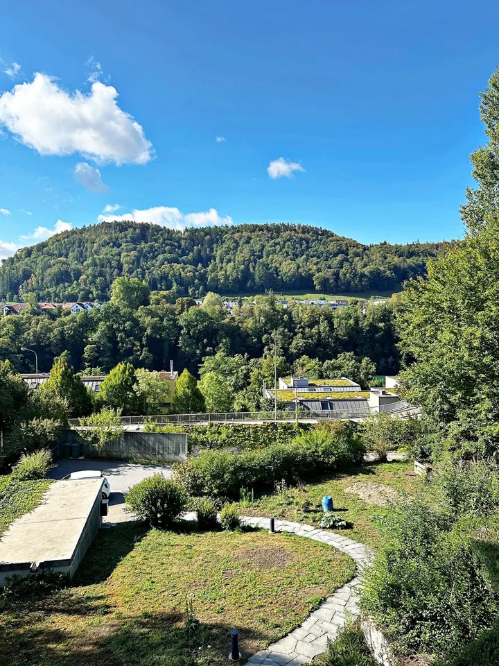 Wohnen in Rheinnähe im schönen Eglisau – Foto 5 von 13