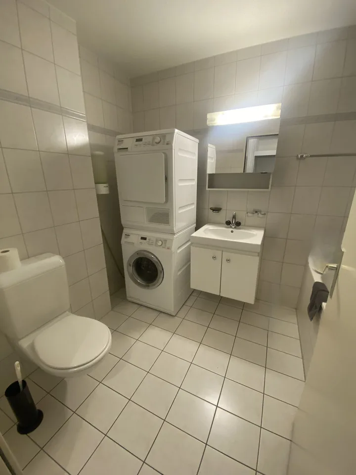 Appartamento 5.5 locali con serra in Flüelen – foto 12 di 15