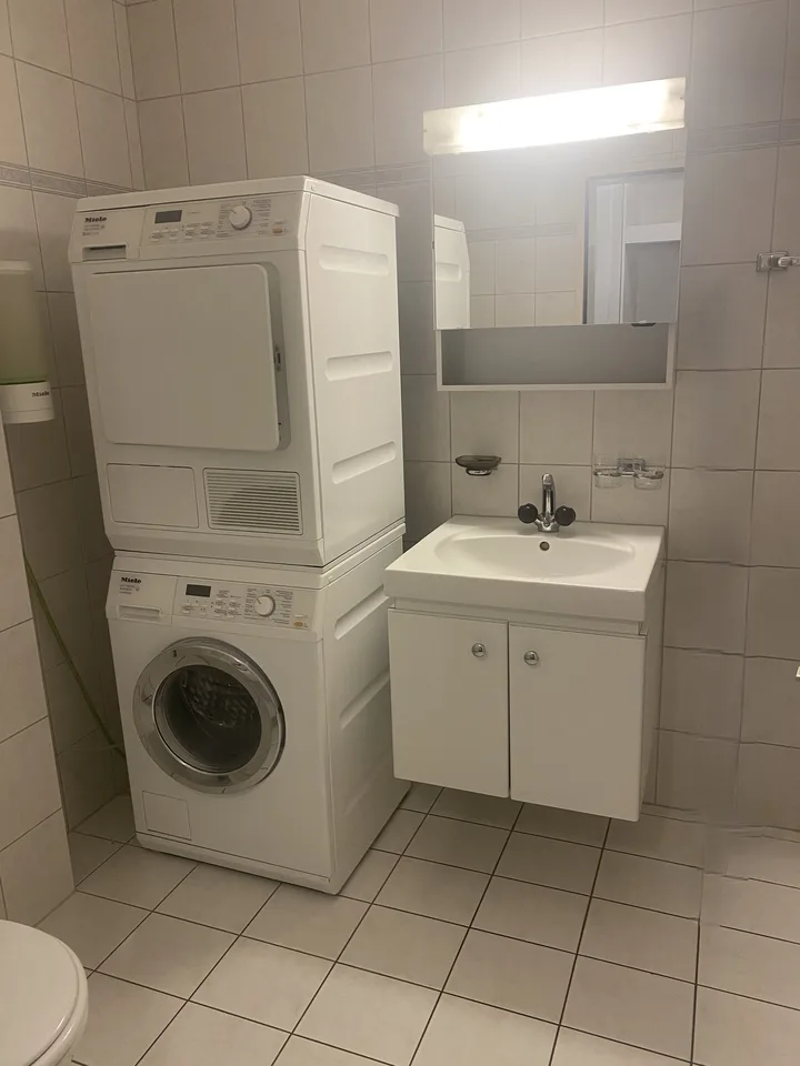 Appartamento 5.5 locali con serra in Flüelen – foto 13 di 15
