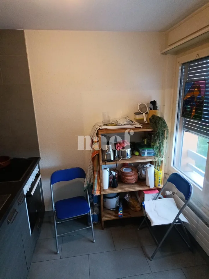 Sehr schönes Studio mit freier Aussicht – Foto 2 von 3