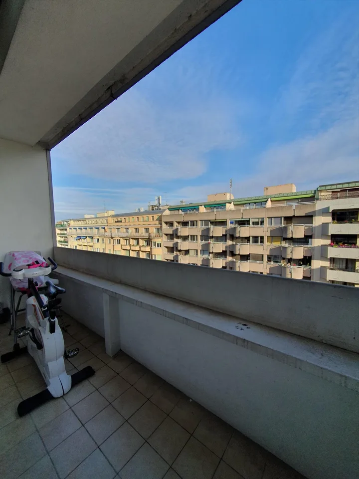Champel: appartamento di 4 locali con terrazza sul tetto – foto 2 di 11