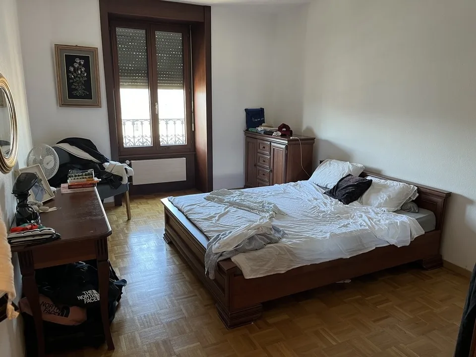 Geräumige Wohnung gegenüber dem Cornavin-Bahnhof – Foto 4 von 6