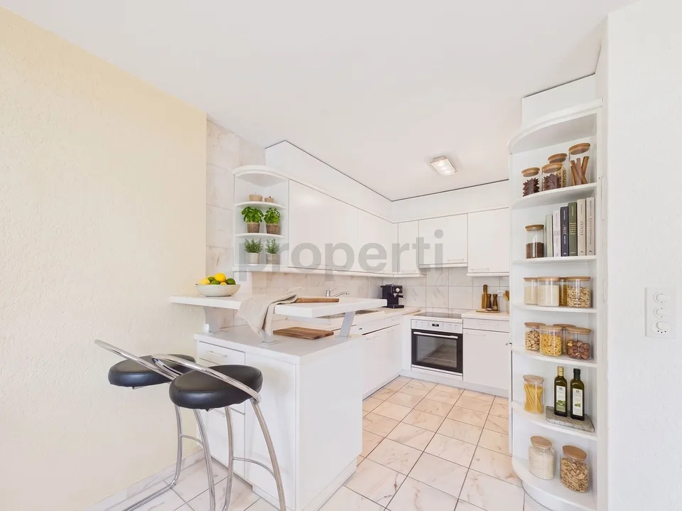 Panoramic view of St. Gallen with gallery, fireplace, and private laundry tower – photo 4 of 11