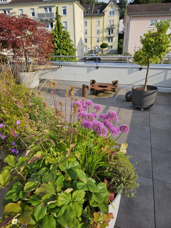Moderne 3.5-Zimmer-Attikawohnung 86m2 mit Terrasse 93m2 und Balkon – Foto 13 von 16