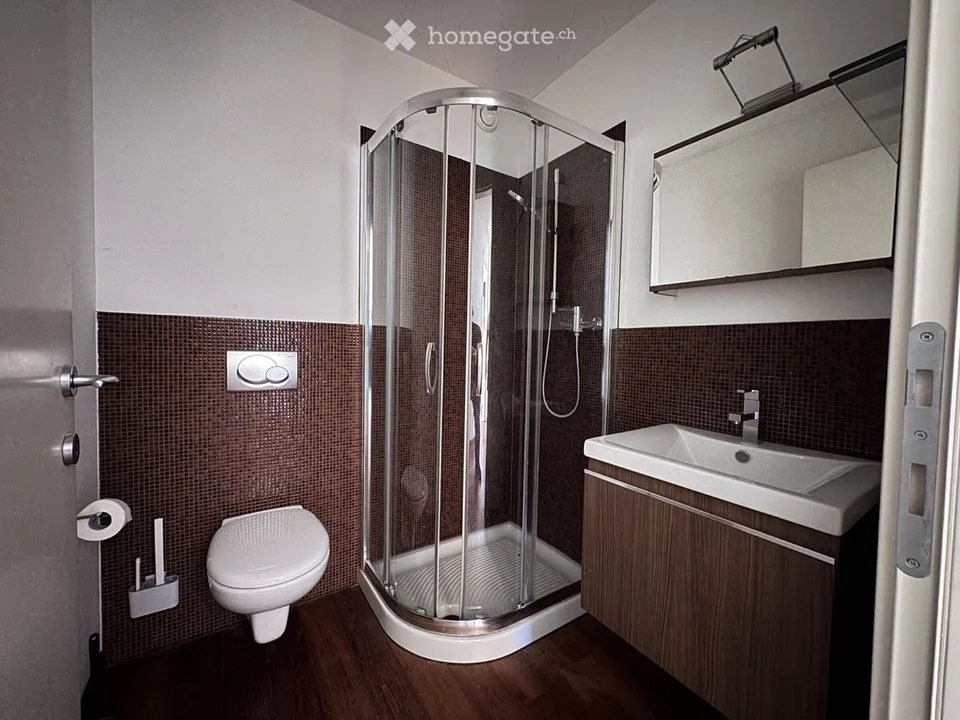 Geräumige und helle 4.5-Zimmer-Wohnung mit Terrasse in Pregassona – Foto 5 von 5
