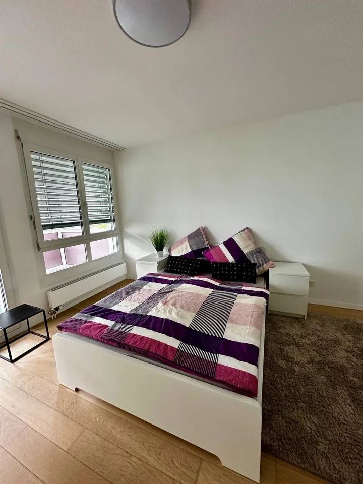 3½ ZI-WOHNUNG IN LANGWIESEN (ZH), MÖBLIERT, TEMPORÄR – Foto 5 von 10