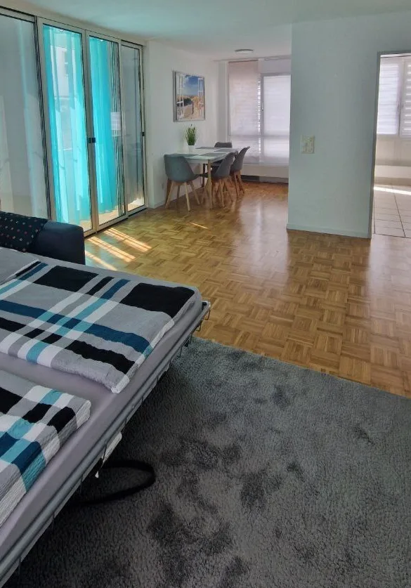 3½ ZI-WOHNUNG IN LANGWIESEN (ZH), MÖBLIERT, TEMPORÄR – Foto 2 von 10