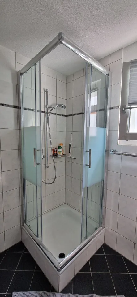 3½ ZI-WOHNUNG IN LANGWIESEN (ZH), MÖBLIERT, TEMPORÄR – Foto 7 von 10