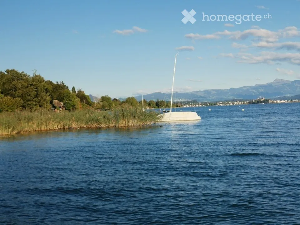 Mieten von Zimmern im schönen Goldcoast Lake Zurich Area – Foto 5 von 5