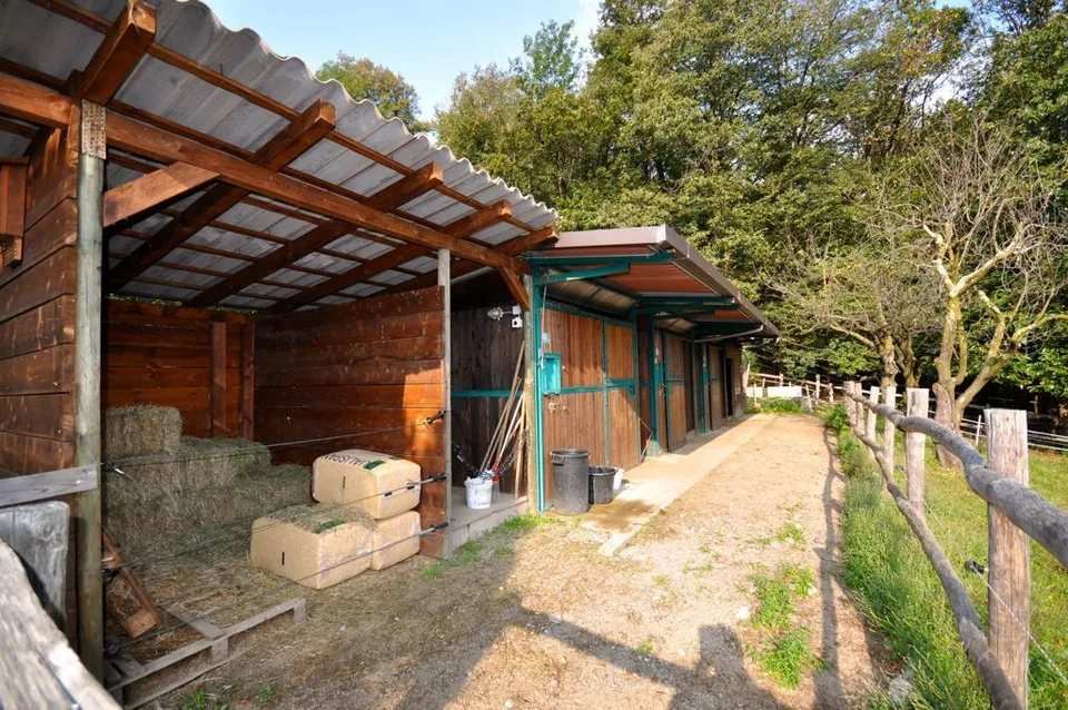 Casa di ?ampagna Immersa nel Verde con Piscina e Scuderia ad Origlio – Foto 13 von 13