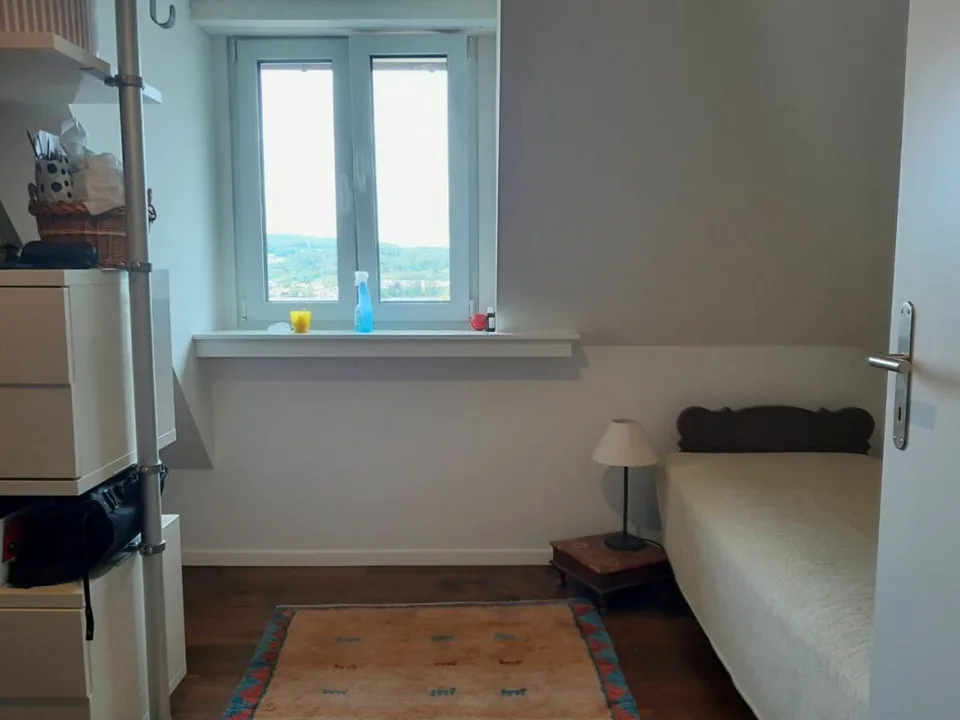 Wohnen mit Weitblick über dem Bodensee, 2 Wohneinheiten, 3 Bädern und Garage – Foto 25 von 30