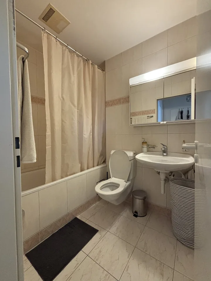 2 ZI-WOHNUNG IN BASEL - GUNDELDINGEN, MÖBLIERT, TEMPORÄR – photo 8 of 10